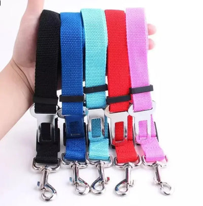 Cat Car Seat Belt