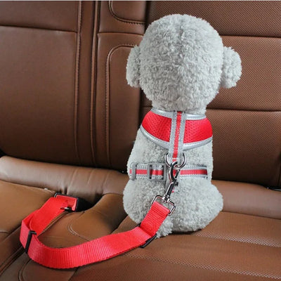 Cat Car Seat Belt
